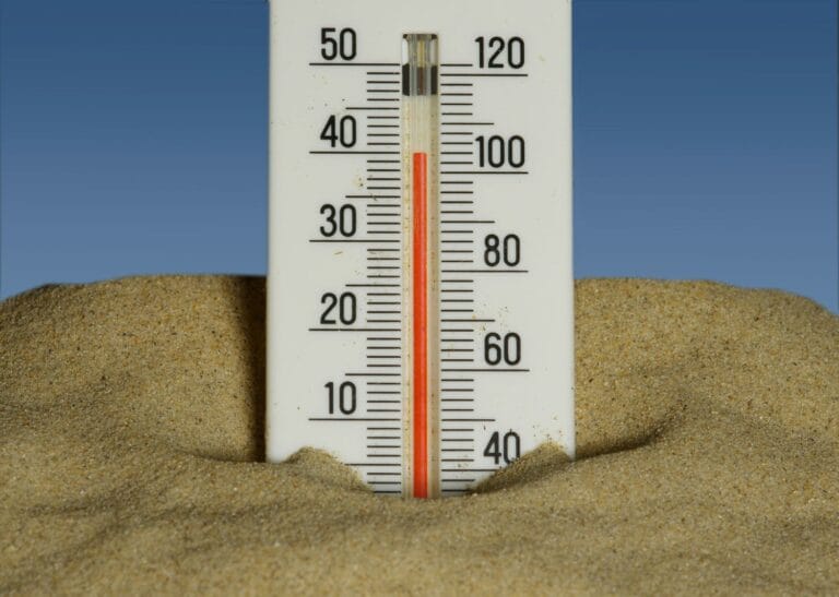 Καύσωνας: Οι 10 τροφές που δεν πρέπει να λείπουν από το γεύμα σου