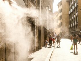 Καύσωνας: Οδηγός επιβίωσης – Τα 3 κρίσιμα μέτρα για να προστατέψετε την υγεία σας